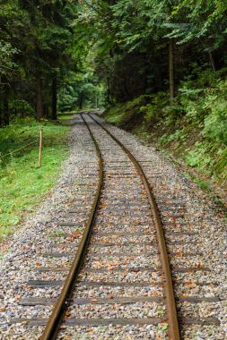 ormandaki ıslak yaz gün dalgalı demiryolu parça