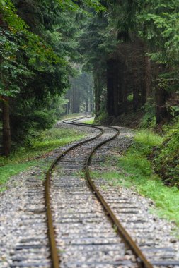 ormandaki ıslak yaz gün dalgalı demiryolu parça