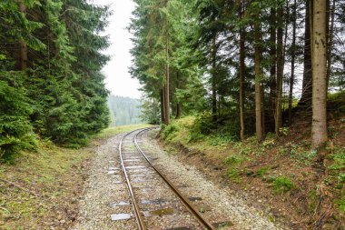 ormandaki ıslak yaz gün dalgalı demiryolu parça