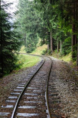 ormandaki ıslak yaz gün dalgalı demiryolu parça
