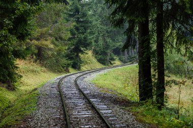 ormandaki ıslak yaz gün dalgalı demiryolu parça