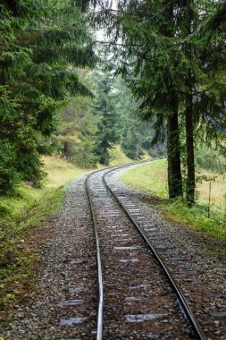 ormandaki ıslak yaz gün dalgalı demiryolu parça