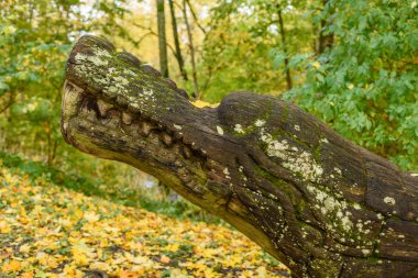 parkta sonbahar renkli ağaçlar