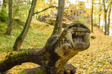 parkta sonbahar renkli ağaçlar