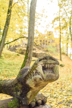 parkta sonbahar renkli ağaçlar