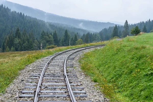 Wavy railroad tracks in wet summer day in forest — Stock Photo, Image