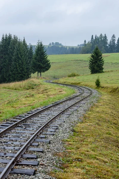 Ormandaki ıslak yaz gün dalgalı demiryolu parça — Stok fotoğraf