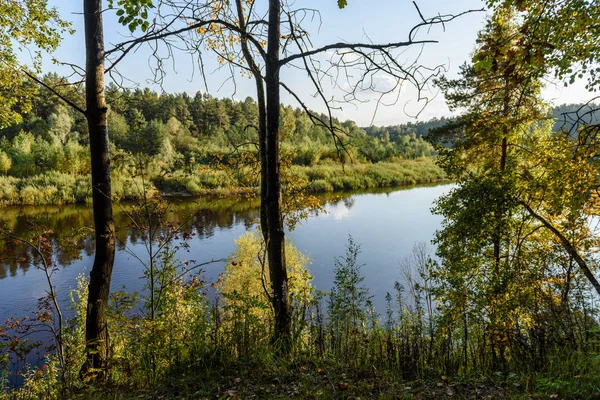 Jesienią kolorowe drzewa pozostawia tło wzór nad rzeką — Zdjęcie stockowe