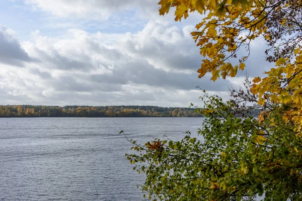 Осіннє кольорове дерево листя фону візерунок біля річки — стокове фото