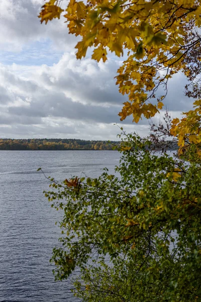 Musim gugur berwarna pohon daun latar belakang oleh sungai — Stok Foto
