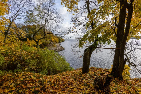 Осенние листья деревьев на фоне реки — стоковое фото