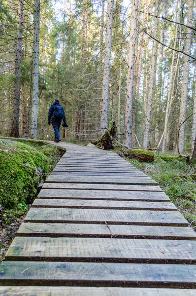 Oude houten promenade bedekt met bladeren in oude bos — Stockfoto