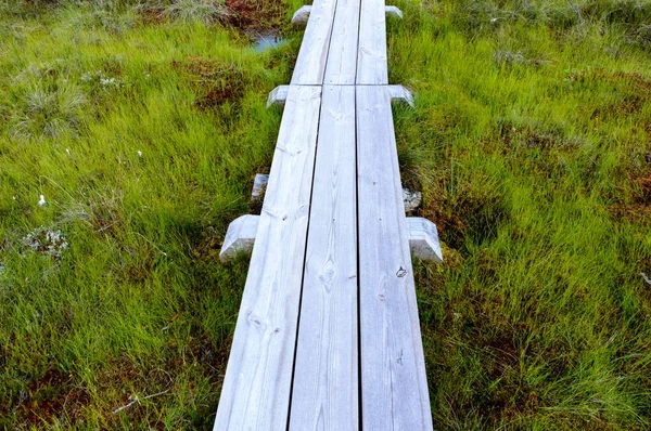 Wooden boardwalk in bog — Stock Photo, Image