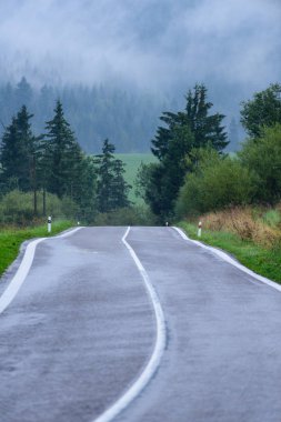 sonbaharda kırsalında boş yol