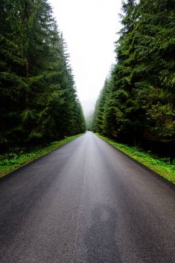 sonbaharda kırsalında boş yol
