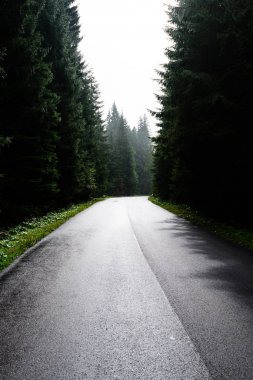 sonbaharda kırsalında boş yol