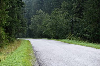 kırsal kesimde sonbahar dağlara giden boş yolda