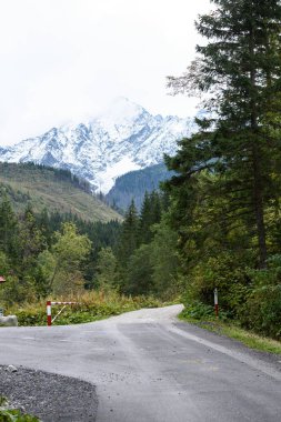 kırsal kesimde sonbahar dağlara giden boş yolda
