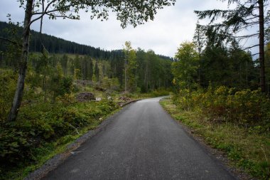 sonbaharda kırsalında boş yol