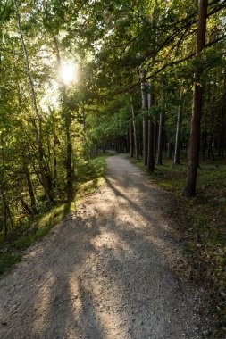 kırsal kesimde sonbahar dağlara giden boş yolda