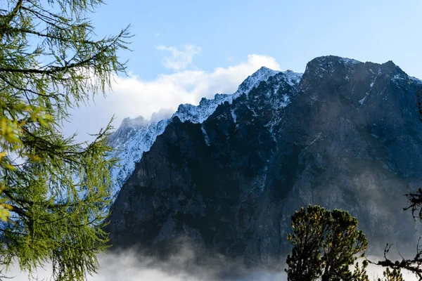 Vista panoramica delle montagne nella foresta nebbiosa — Foto Stock