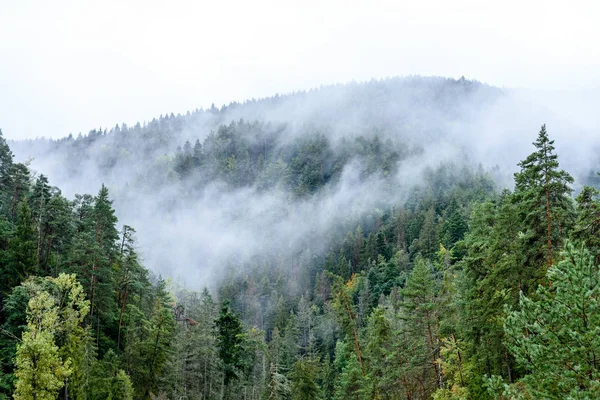Panoramiczny widok z gór Mglistych lasów — Zdjęcie stockowe