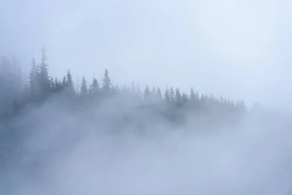 Vue panoramique sur des montagnes dans forêt brumeuse — Photo