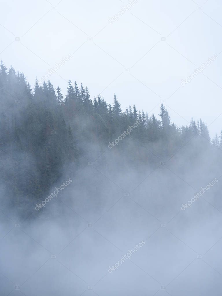 panoramic view of of mountains in misty forest