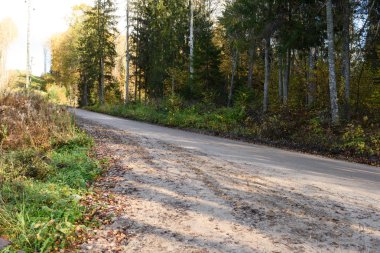 sonbaharda kırsalında boş yol