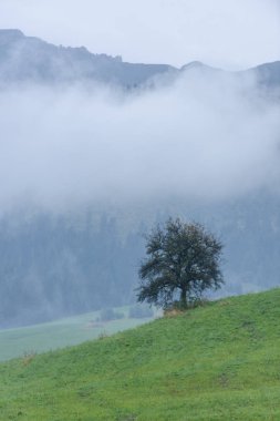 Slovakya alan manzaralı