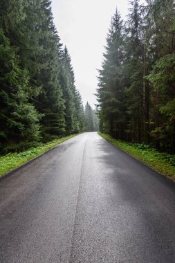 Yaz aylarında kırsalında boş asfalt yol