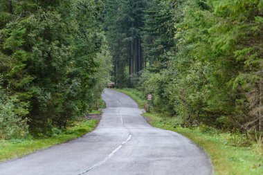Yaz aylarında kırsalında boş asfalt yol