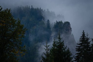 Slovakya alan manzaralı