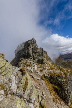 kayalık dağ tepe alan görünümünde Slovakya