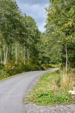 Yaz aylarında kırsalında boş asfalt yol