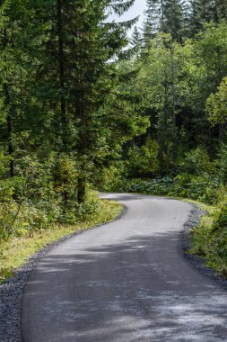 Yaz aylarında kırsalında boş asfalt yol