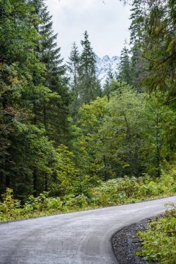 Yaz aylarında kırsalında boş asfalt yol