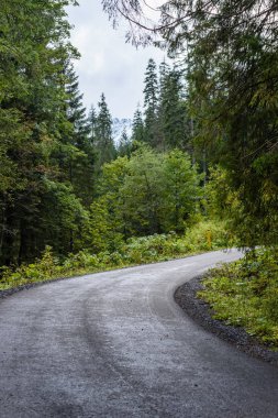 Yaz aylarında kırsalında boş asfalt yol