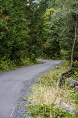 Yaz aylarında kırsalında boş asfalt yol
