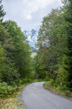 Yaz aylarında kırsalında boş asfalt yol