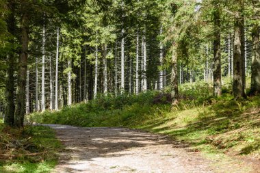 Yaz aylarında kırsalında boş çakıl yol