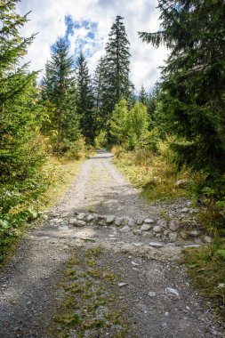 Yaz aylarında kırsalında boş çakıl yol