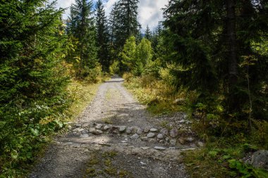 Yaz aylarında kırsalında boş çakıl yol
