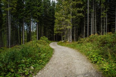 Yaz aylarında kırsalında boş çakıl yol