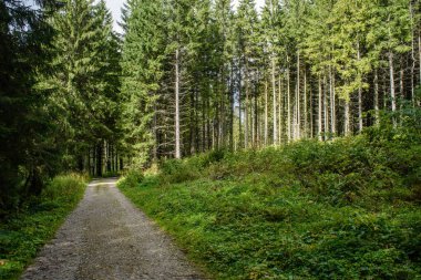 Yaz aylarında kırsalında boş çakıl yol