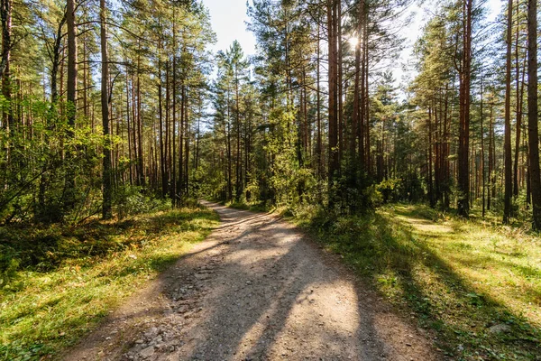 Empty gravel road in the countryside in summer — Stock Photo, Image