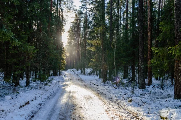 Vidéki út télen — Stock Fotó