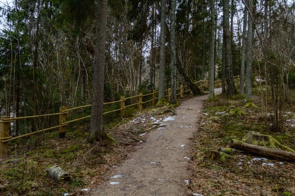 Route de gravier vide à la campagne en été — Photo