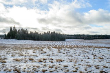 kış kar ve beyaz alanlar ile kırsal manzara