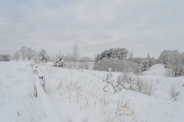 kış kar ve beyaz alanlar ile kırsal manzara